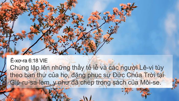 Ê-xơ-ra 6:18 VIE Bible Verse Image