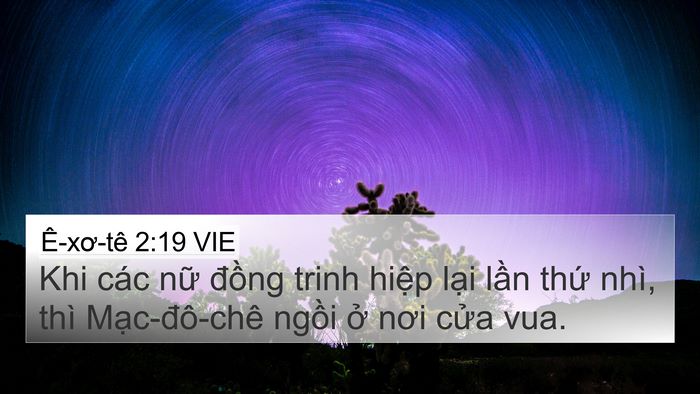 Ê-xơ-tê 2:19 VIE Bible Verse Image
