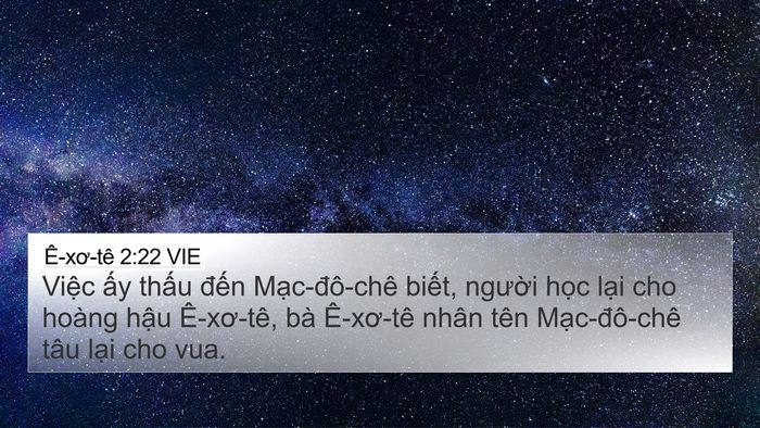 Ê-xơ-tê 2:22 VIE 4K Wallpaper - Việc ấy thấu đến Mạc-đô-chê biết, - 4K Wallpaper Bible Verse
