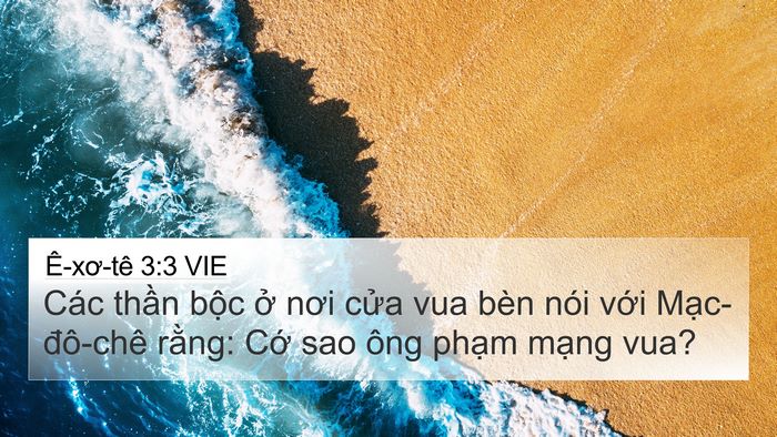 Ê-xơ-tê 3:3 VIE 4K Wallpaper - Các thần bộc ở nơi cửa vua bèn nói - 4K Wallpaper Bible Verse