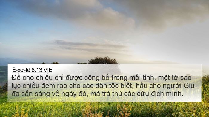 Ê-xơ-tê 8:13 VIE Bible Verse Image