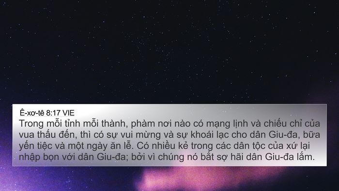 Ê-xơ-tê 8:17 VIE Bible Verse Image