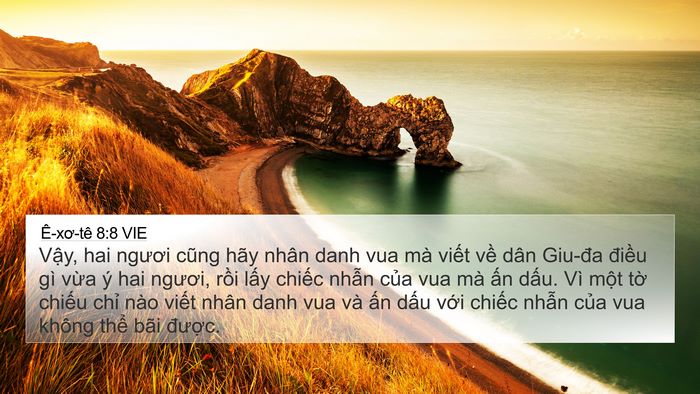 Ê-xơ-tê 8:8 VIE Bible Verse Image