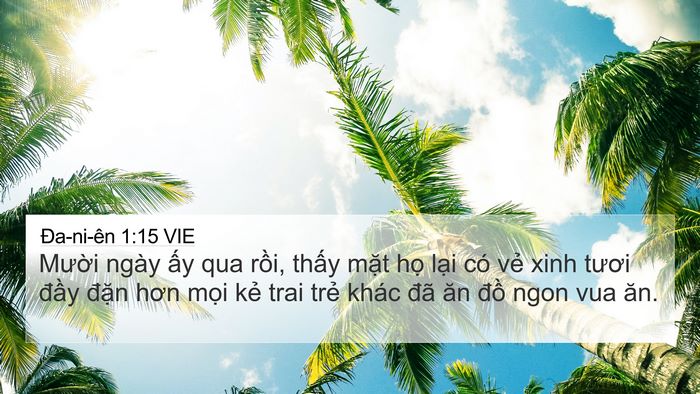 Ða-ni-ên 1:15 VIE 4K Wallpaper - Mười ngày ấy qua rồi, thấy mặt họ - 4K Wallpaper Bible Verse
