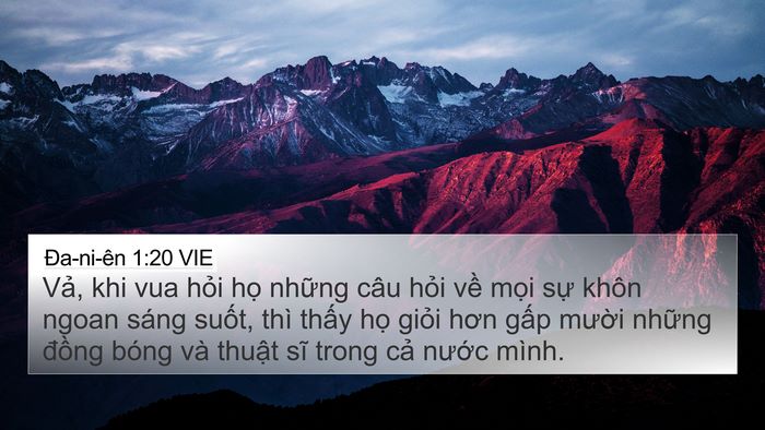 Ða-ni-ên 1:20 VIE Bible Verse Image