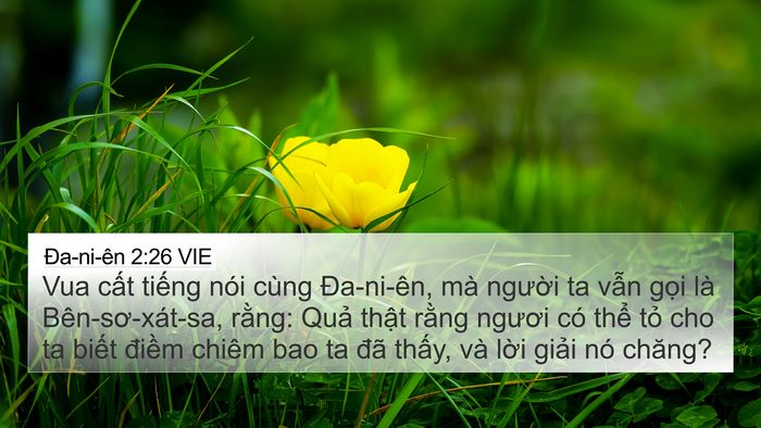 Ða-ni-ên 2:26 VIE Bible Verse Image