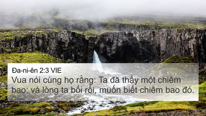 Ða-ni-ên 2:3 VIE Bible Verse Image