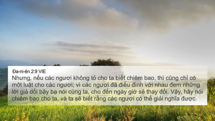 Ða-ni-ên 2:9 VIE Bible Verse Image