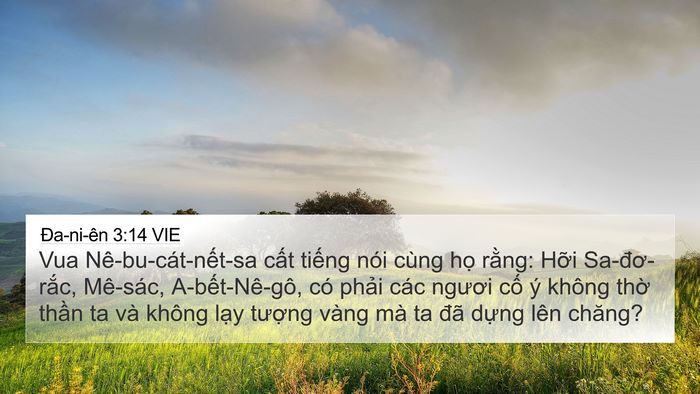 Ða-ni-ên 3:14 VIE 4K Wallpaper - Vua Nê-bu-cát-nết-sa cất tiếng nói cùng - 4K Wallpaper Bible Verse