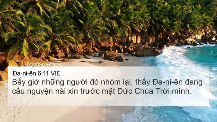 Ða-ni-ên 6:11 VIE 4K Wallpaper - Bấy giờ những người đó nhóm lại, - 4K Wallpaper Bible Verse