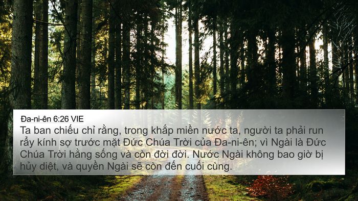 Ða-ni-ên 6:26 VIE Bible Verse Image