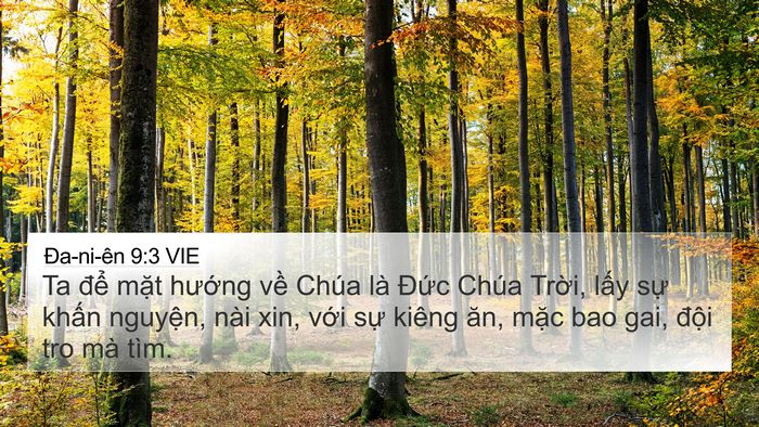 Ða-ni-ên 9:3 VIE Bible Verse Image
