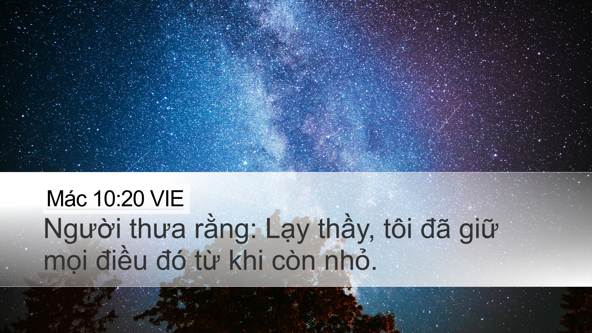 Mác 10:20 VIE Desktop Wallpaper - Người thưa rằng: Lạy thầy, tôi đã