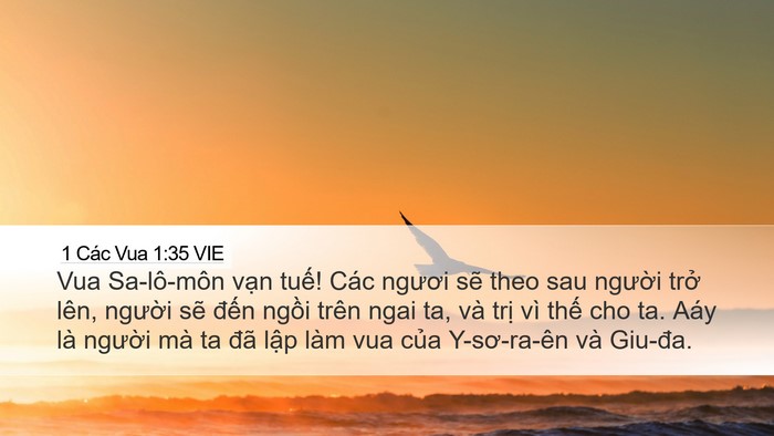 1 Các Vua 1:35 VIE Bible Verse Image