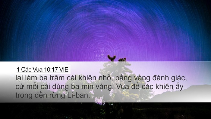 1 Các Vua 10:17 VIE Bible Verse Image