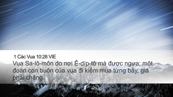 1 Các Vua 10:28 VIE Bible Verse Image