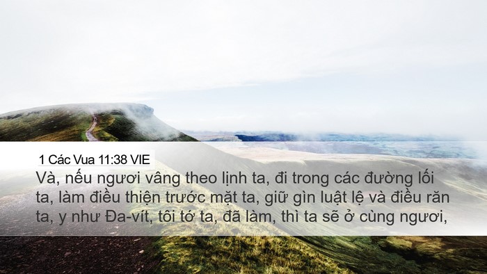 1 Các Vua 11:38 VIE Bible Verse Image
