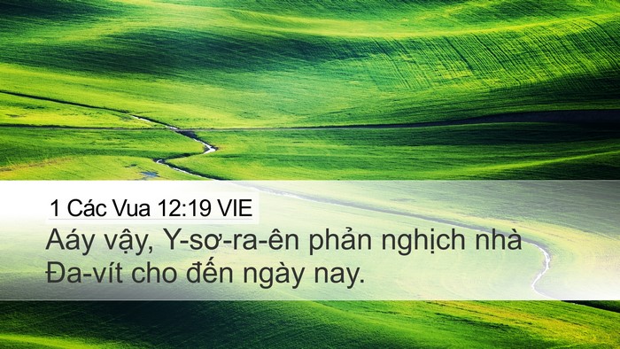 1 Các Vua 12:19 VIE Bible Verse Image