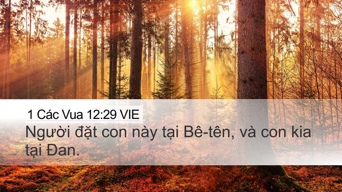 1 Các Vua 12:29 VIE Bible Verse Image