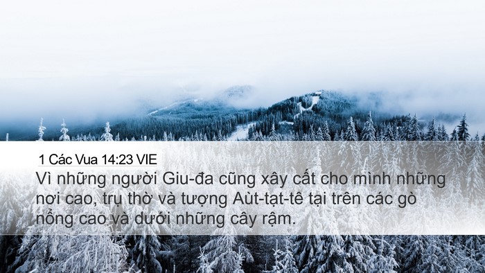 1 Các Vua 14:23 VIE Bible Verse Image