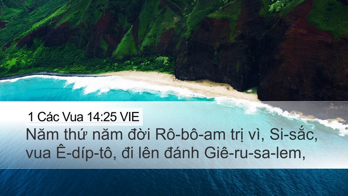 1 Các Vua 14:25 VIE Bible Verse Image