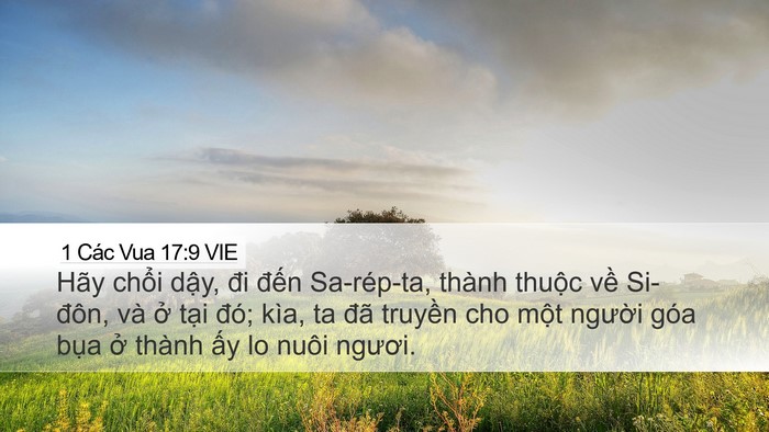 1 Các Vua 17:9 VIE Bible Verse Image