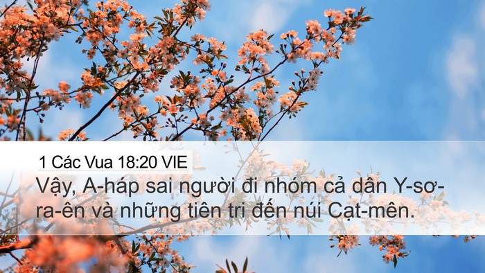 1 Các Vua 18:20 VIE Bible Verse Image