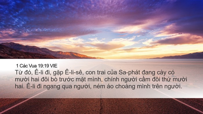 1 Các Vua 19:19 VIE Bible Verse Image