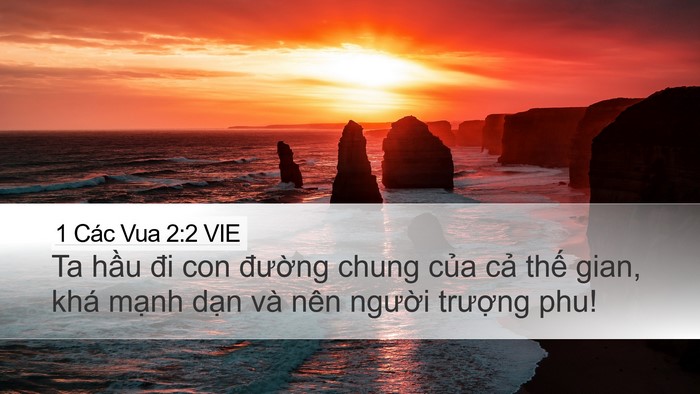 1 Các Vua 2:2 VIE Bible Verse Image