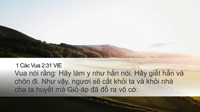 1 Các Vua 2:31 VIE Bible Verse Image