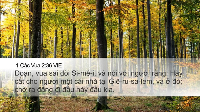 1 Các Vua 2:36 VIE Bible Verse Image