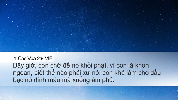 1 Các Vua 2:9 VIE Bible Verse Image