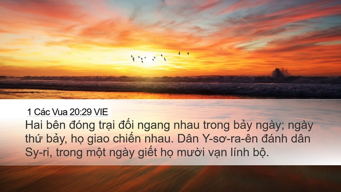 1 Các Vua 20:29 VIE Bible Verse Image