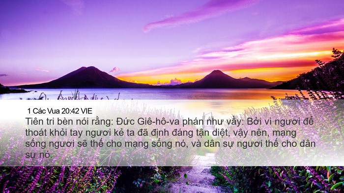 1 Các Vua 20:42 VIE Bible Verse Image
