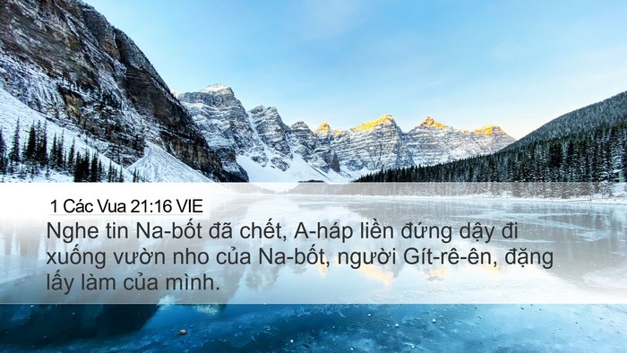 1 Các Vua 21:16 VIE Bible Verse Image