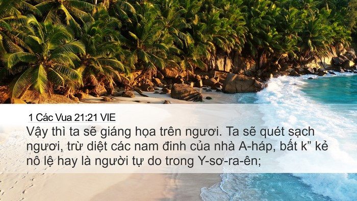1 Các Vua 21:21 VIE Bible Verse Image
