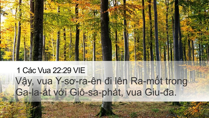 1 Các Vua 22:29 VIE Bible Verse Image
