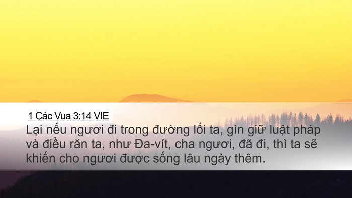 1 Các Vua 3:14 VIE Bible Verse Image
