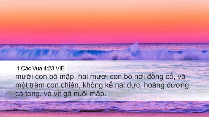 1 Các Vua 4:23 VIE Bible Verse Image