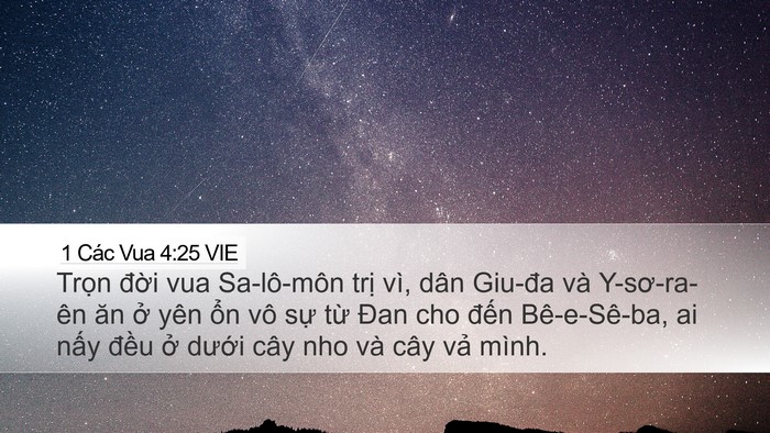 1 Các Vua 4:25 VIE Bible Verse Image