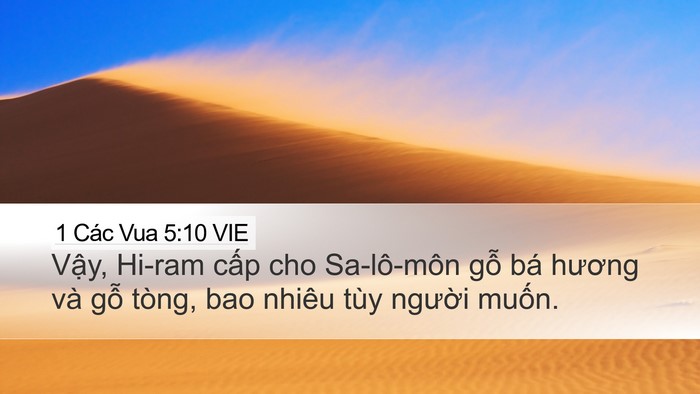 1 Các Vua 5:10 VIE Desktop Wallpaper - Vậy, Hi-ram cấp cho Sa-lô-môn gỗ bá - Desktop Bible Verse Wallpaper