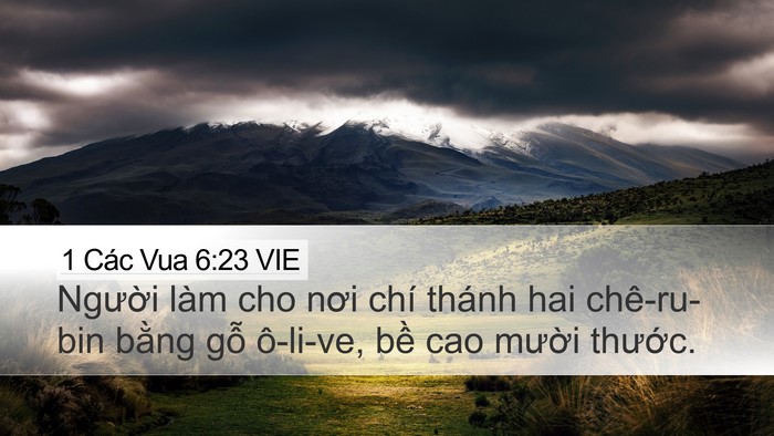 1 Các Vua 6:23 VIE Bible Verse Image
