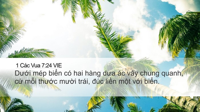 1 Các Vua 7:24 VIE Desktop Wallpaper - Dưới mép biển có hai hàng dưa ác vây - Desktop Bible Verse Wallpaper
