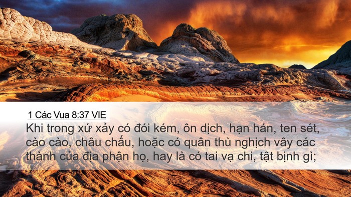 1 Các Vua 8:37 VIE Bible Verse Image