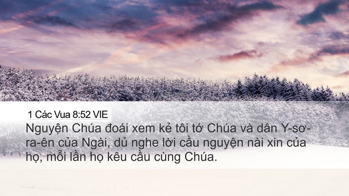 1 Các Vua 8:52 VIE Desktop Wallpaper - Nguyện Chúa đoái xem kẻ tôi tớ Chúa - Desktop Bible Verse Wallpaper