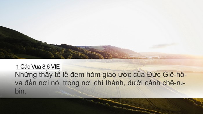 1 Các Vua 8:6 VIE Bible Verse Image