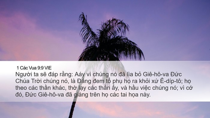 1 Các Vua 9:9 VIE Bible Verse Image