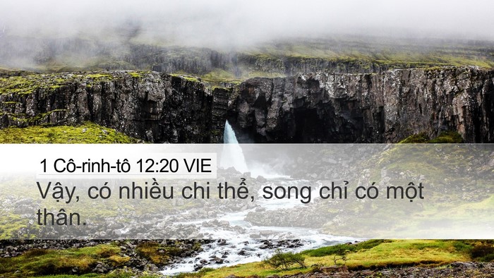 1 Cô-rinh-tô 12:20 VIE Bible Verse Image