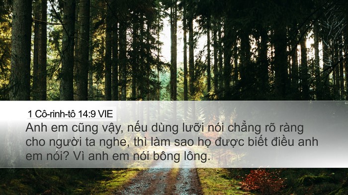 1 Cô-rinh-tô 14:9 VIE Bible Verse Image