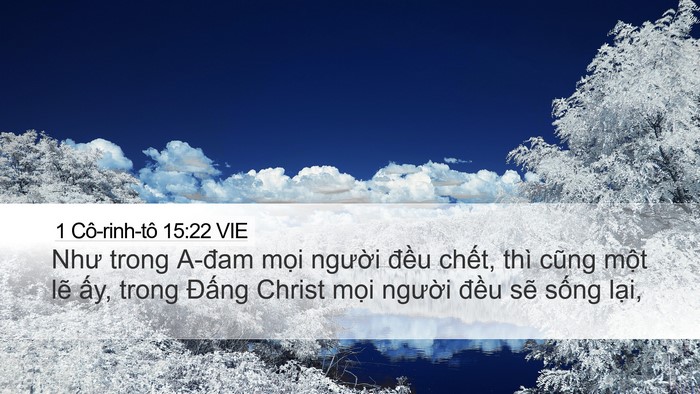 1 Cô-rinh-tô 15:22 VIE Desktop Wallpaper - Như trong A-đam mọi người đều chết, - Desktop Bible Verse Wallpaper